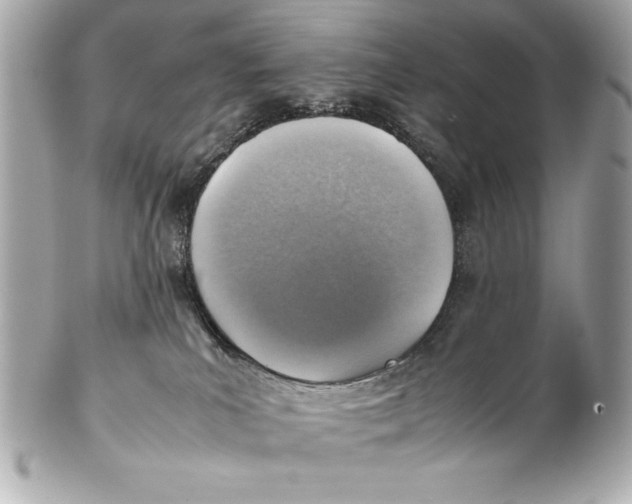 X0000102270039200808151914