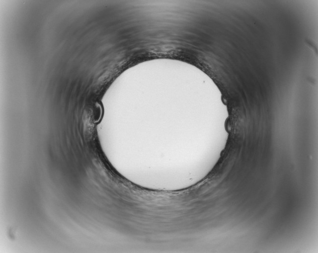 X0000102270040200808151914