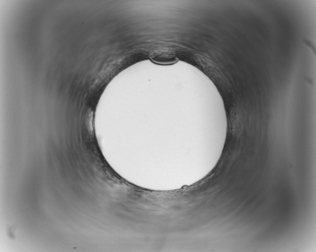 X0000102270041200808151914
