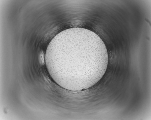 X0000102270042200808151914