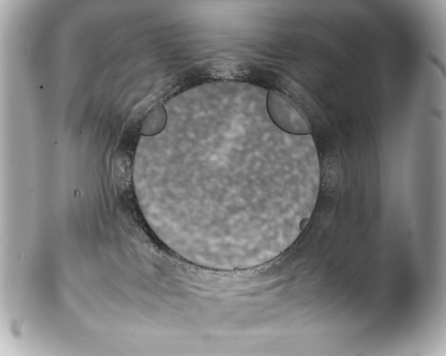 X0000102270043200808151914