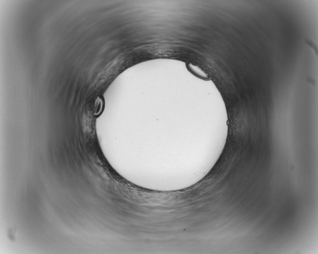X0000102270044200808151914