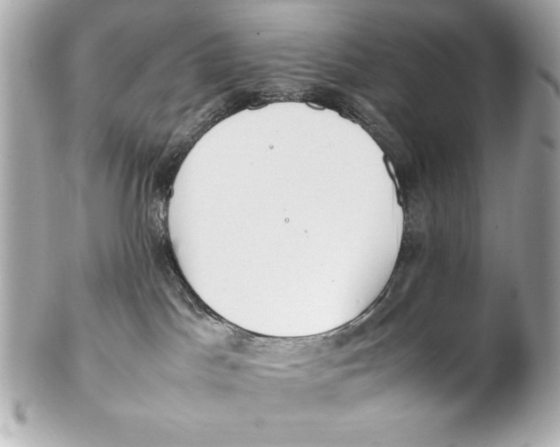X0000102270045200808151914