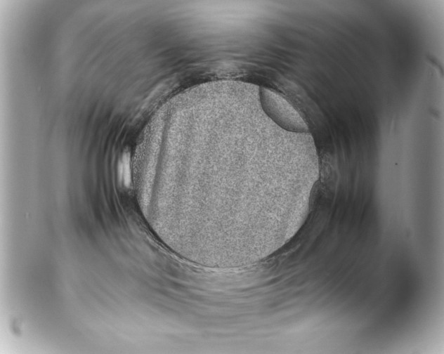 X0000102270046200808151914