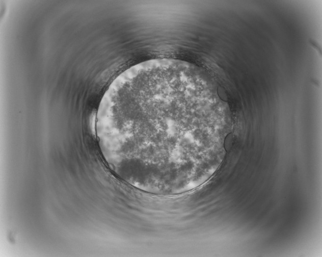 X0000102270047200808151914