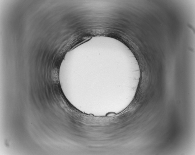 X0000102270048200808151914
