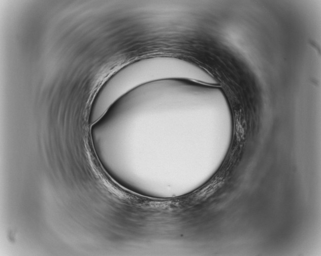 X0000102270049200808151913