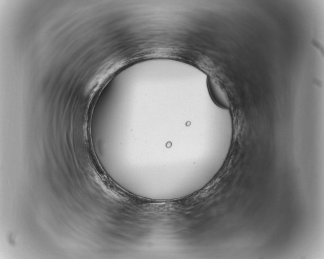 X0000102270050200808151913