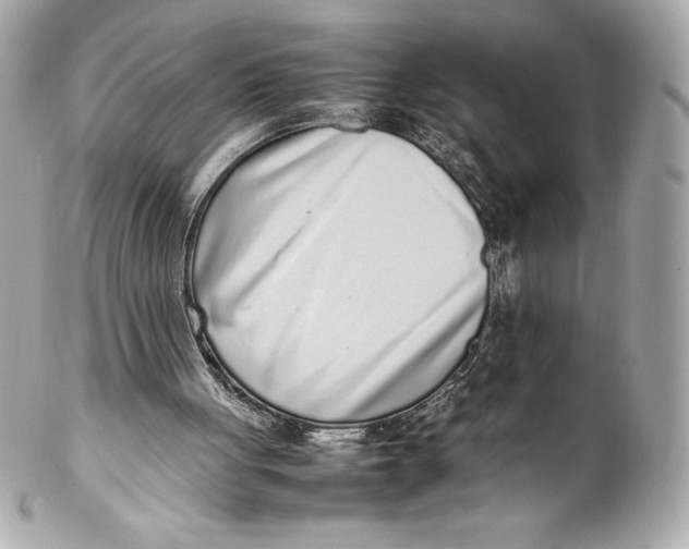 X0000102270051200808151914