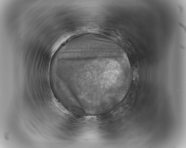 X0000102270052200808151914