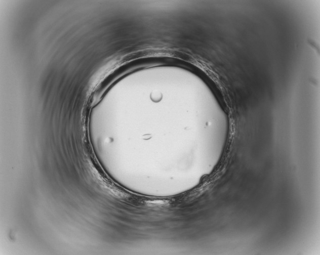 X0000102270053200808151914