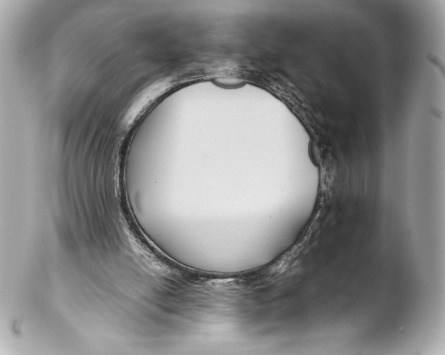 X0000102270054200808151914