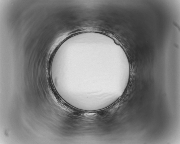 X0000102270055200808151914