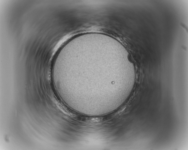 X0000102270056200808151914