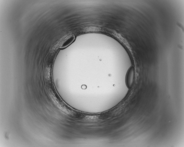 X0000102270057200808151914