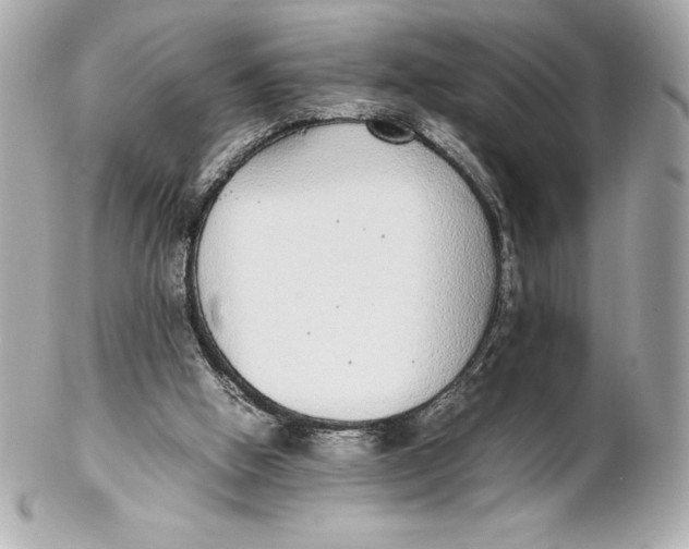 X0000102270058200808151914