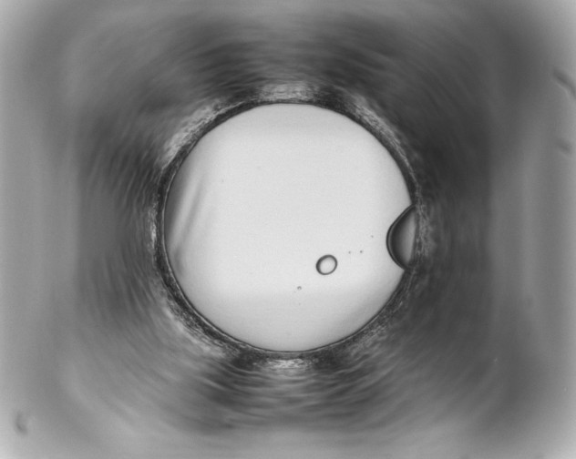 X0000102270059200808151914