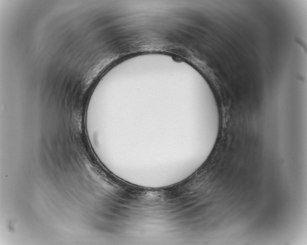 X0000102270060200808151914