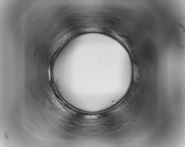 X0000102270061200808151914