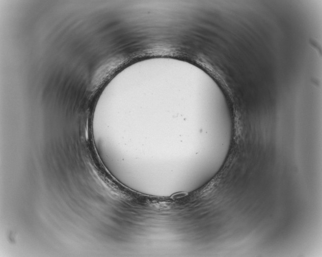 X0000102270062200808151914