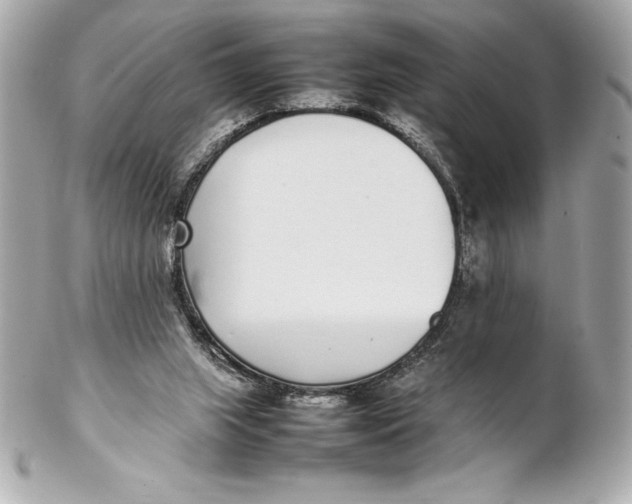 X0000102270063200808151914