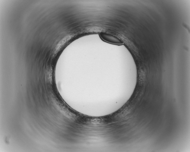 X0000102270064200808151914