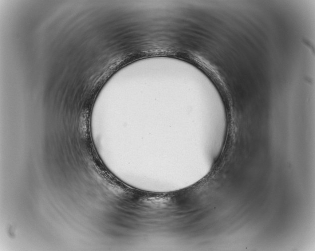 X0000102270065200808151914
