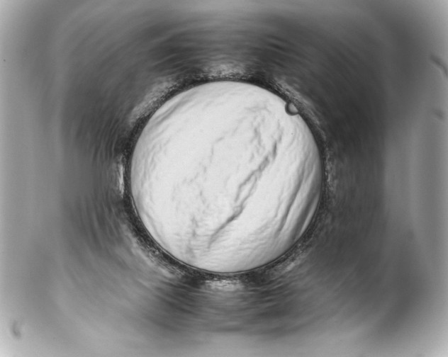 X0000102270067200808151914