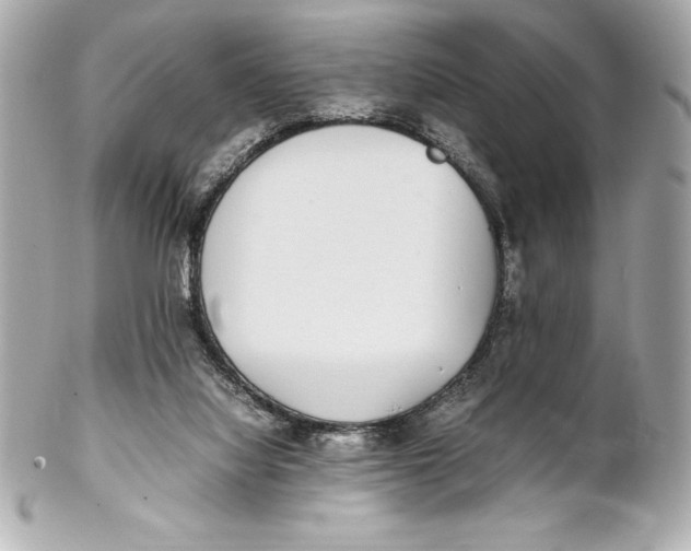 X0000102270068200808151914