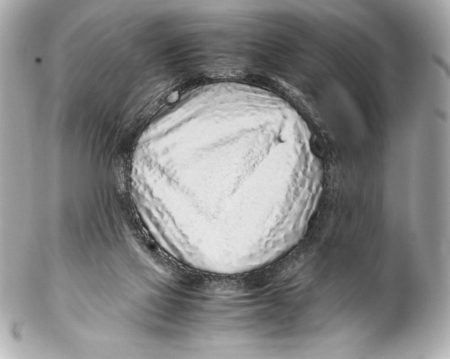 X0000102270069200808151914
