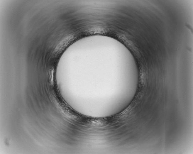 X0000102270070200808151914