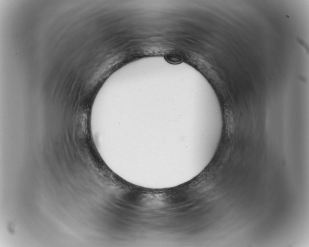 X0000102270071200808151914
