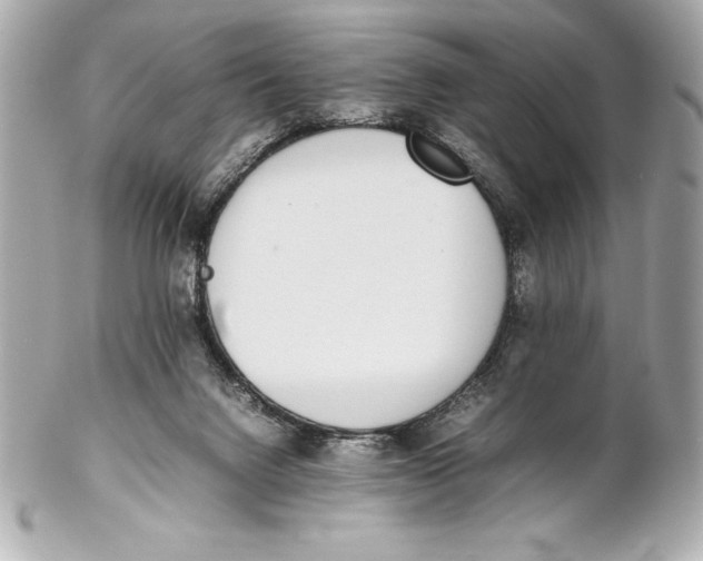 X0000102270072200808151914
