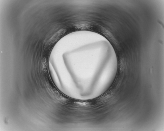 X0000102270073200808151914