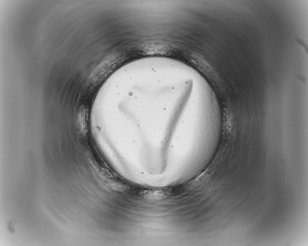 X0000102270074200808151914