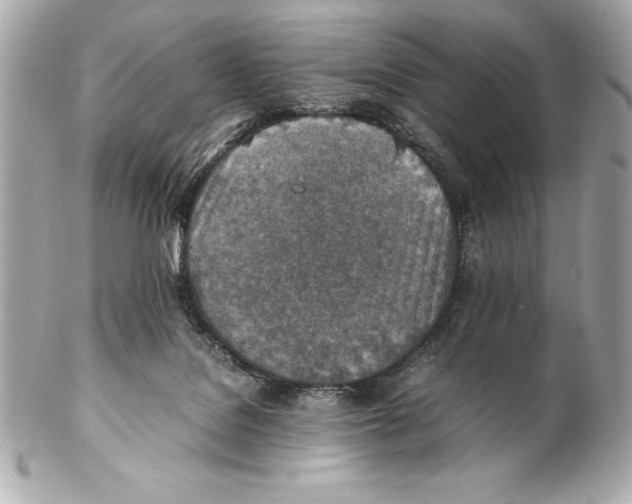 X0000102270076200808151914