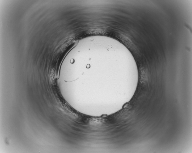 X0000102270077200808151914