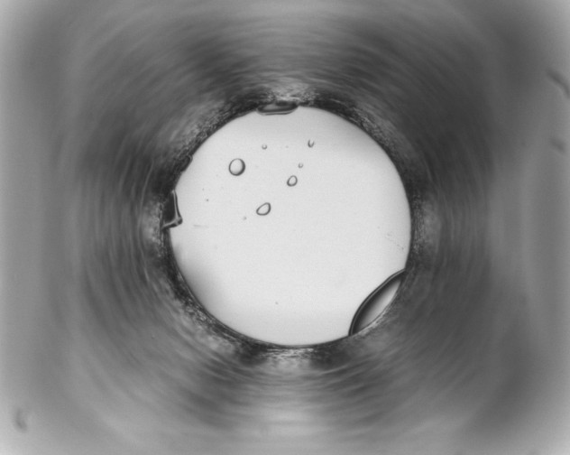 X0000102270078200808151914