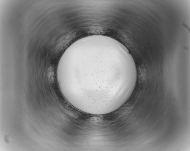 X0000102270080200808151914