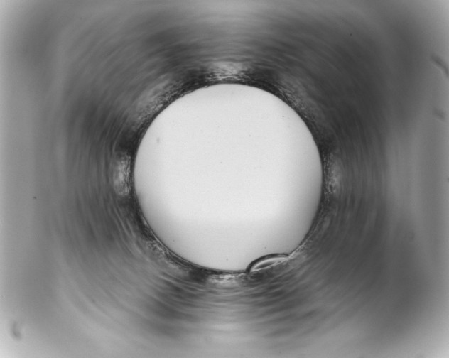 X0000102270082200808151914