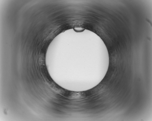 X0000102270083200808151914