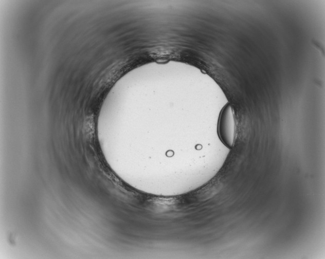 X0000102270085200808151914