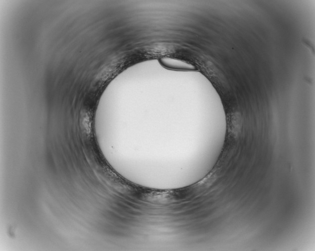 X0000102270086200808151914