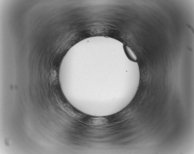 X0000102270087200808151914