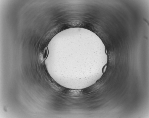 X0000102270089200808151914