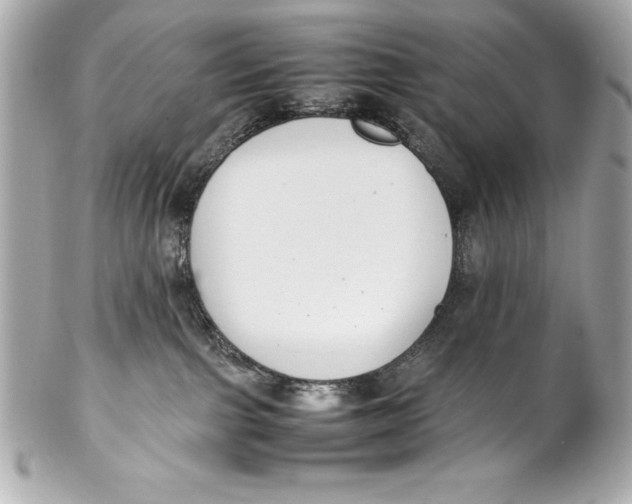 X0000102270091200808151914