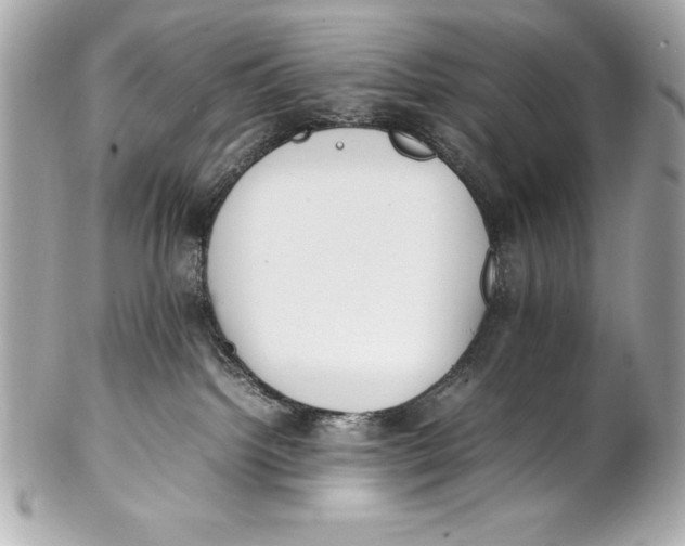 X0000102270092200808151914