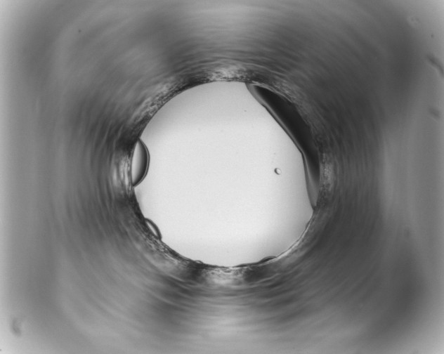 X0000102270094200808151914