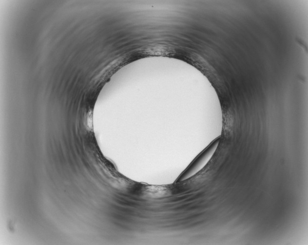 X0000102270095200808151914