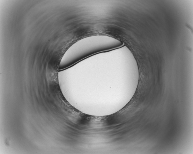 X0000102270096200808151914